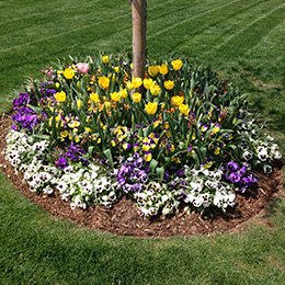 Flower Beds 